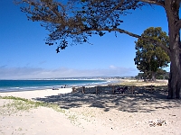 Monterey 1